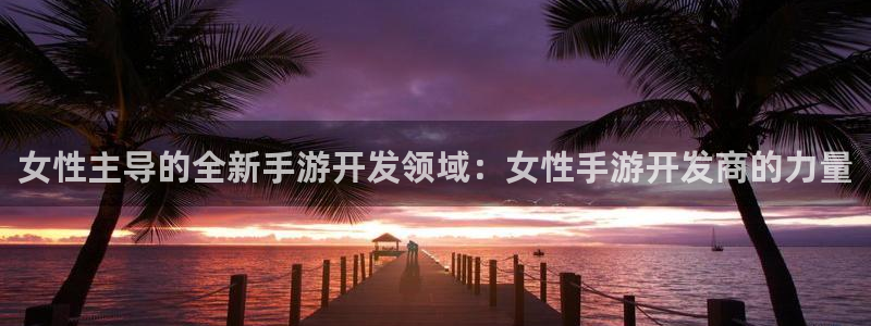 庄闲游戏机：女性主导的全新手游开发领域：女性手游开发商的力量
