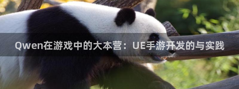 庄闲发牌规则：Qwen在游戏中的大本营：UE手游开发的与实践