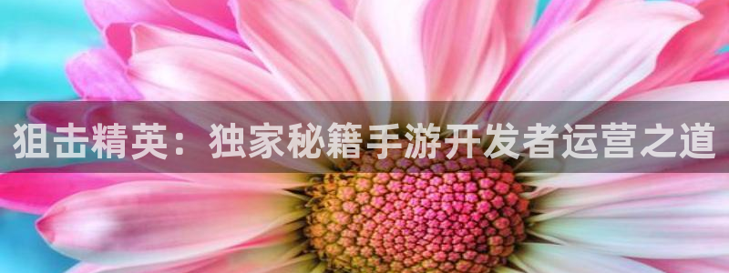 庄闲网站大全：狙击精英：独家秘籍手游开发者运营之道