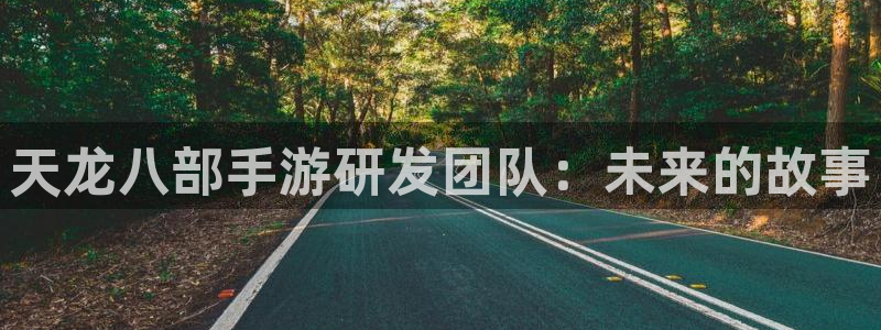庄闲的玩法：天龙八部手游研发团队：未来的故事