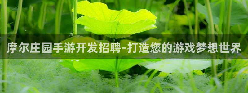 庄闲下载：摩尔庄园手游开发招聘-打造您的游戏梦想世界