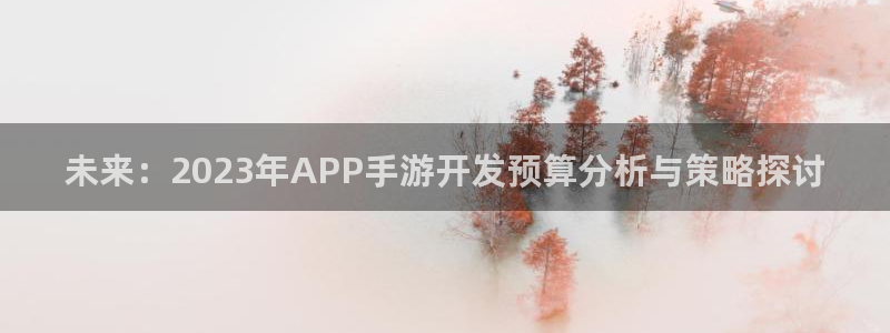 庄闲闲庄庄闲：未来：2023年APP手游开发预算分析与策略探