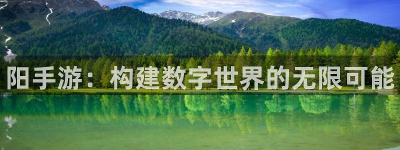 庄闲游戏平台怎么样：阳手游：构建数字世界的无限可能