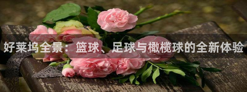 77体育官网：好莱坞全景：篮球、足球与橄榄球的全新体验