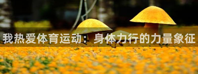 77体育官网：我热爱体育运动：身体力行的力量象征