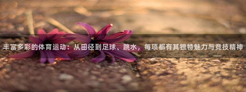 77体育app下载官网：丰富多彩的体育运动：从田径到足球、跳水，每项都有其独特魅力与竞技精神