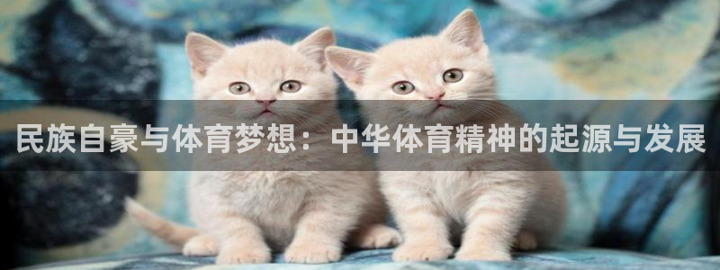 77体育app下载官网：民族自豪与体育梦想：中华体育精神的起源与发展