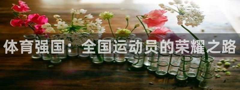 77体育app下载官网：体育强国：全国运动员的荣耀之路
