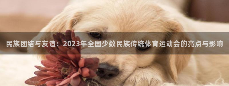 皇冠277体育：民族团结与友谊：2023年全国少数民族传统体育运动会的亮点与影响