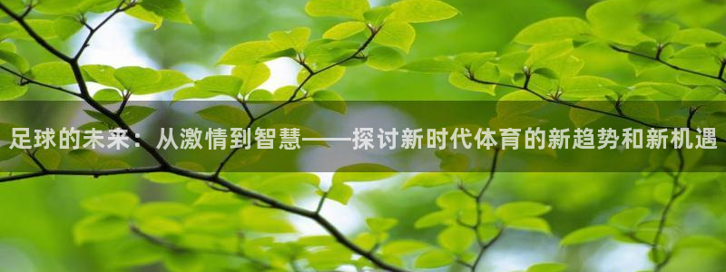 皇冠277体育：足球的未来：从激情到智慧——探讨新时代体育的新趋势和新机遇